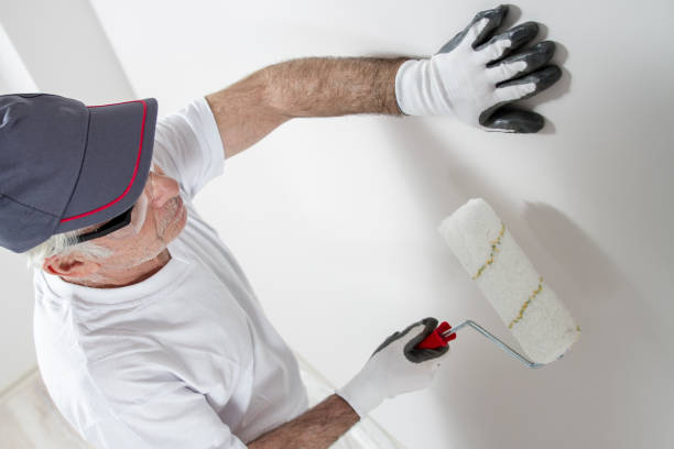 Best Drywall Crack Repair  in Burbank, WA